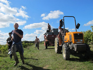 IMG 0332 d599fW